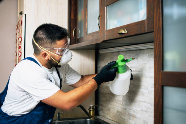 Best Wildlife Control Services  in Oroville, WA
